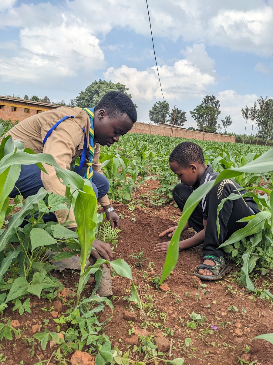 CoatiUrce250's tweet photo. 🌱 SCOUTS COMMUNITY SERVICE REPORT – RUKARA 🌍

On 15/11/2025, Scouts from the University of Rwanda – Rukara Campus partnered with Scouts from Lycée Saint Marcel Rukara for a community service activity focused on planting over 500 trees to promote environmental conservation. https://t.co/bkcFtZKTBo
