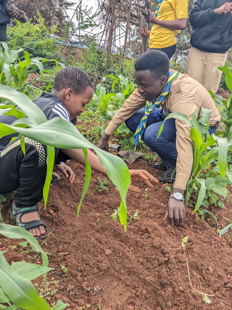 CoatiUrce250's tweet photo. 🌱 SCOUTS COMMUNITY SERVICE REPORT – RUKARA 🌍

On 15/11/2025, Scouts from the University of Rwanda – Rukara Campus partnered with Scouts from Lycée Saint Marcel Rukara for a community service activity focused on planting over 500 trees to promote environmental conservation. https://t.co/bkcFtZKTBo