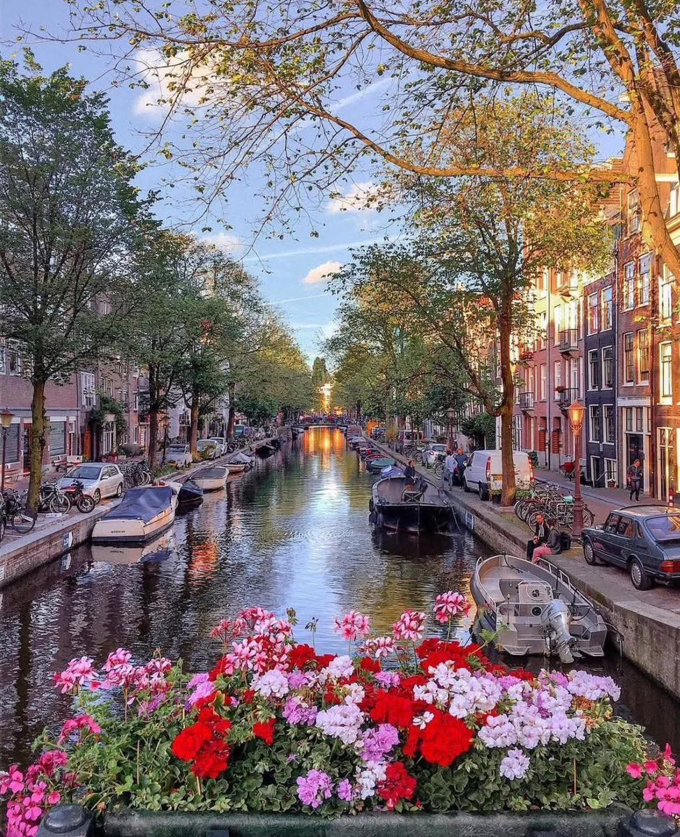 Globe32048's tweet image. Amsterdam in Spring ❤️
Good Tuesday! #tuesdayvibes