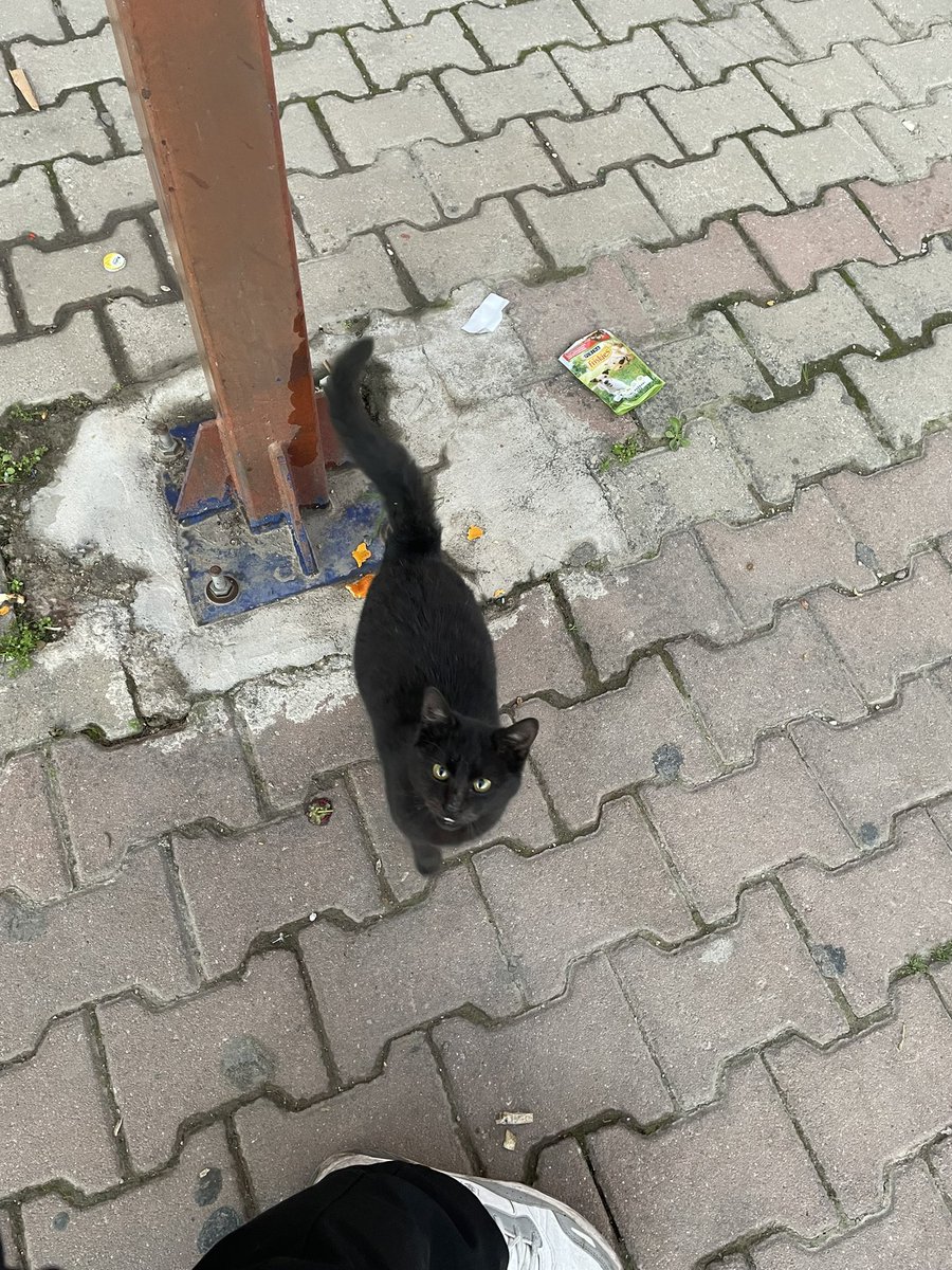 Oyuncu değişikliği ile devam ediyoruz