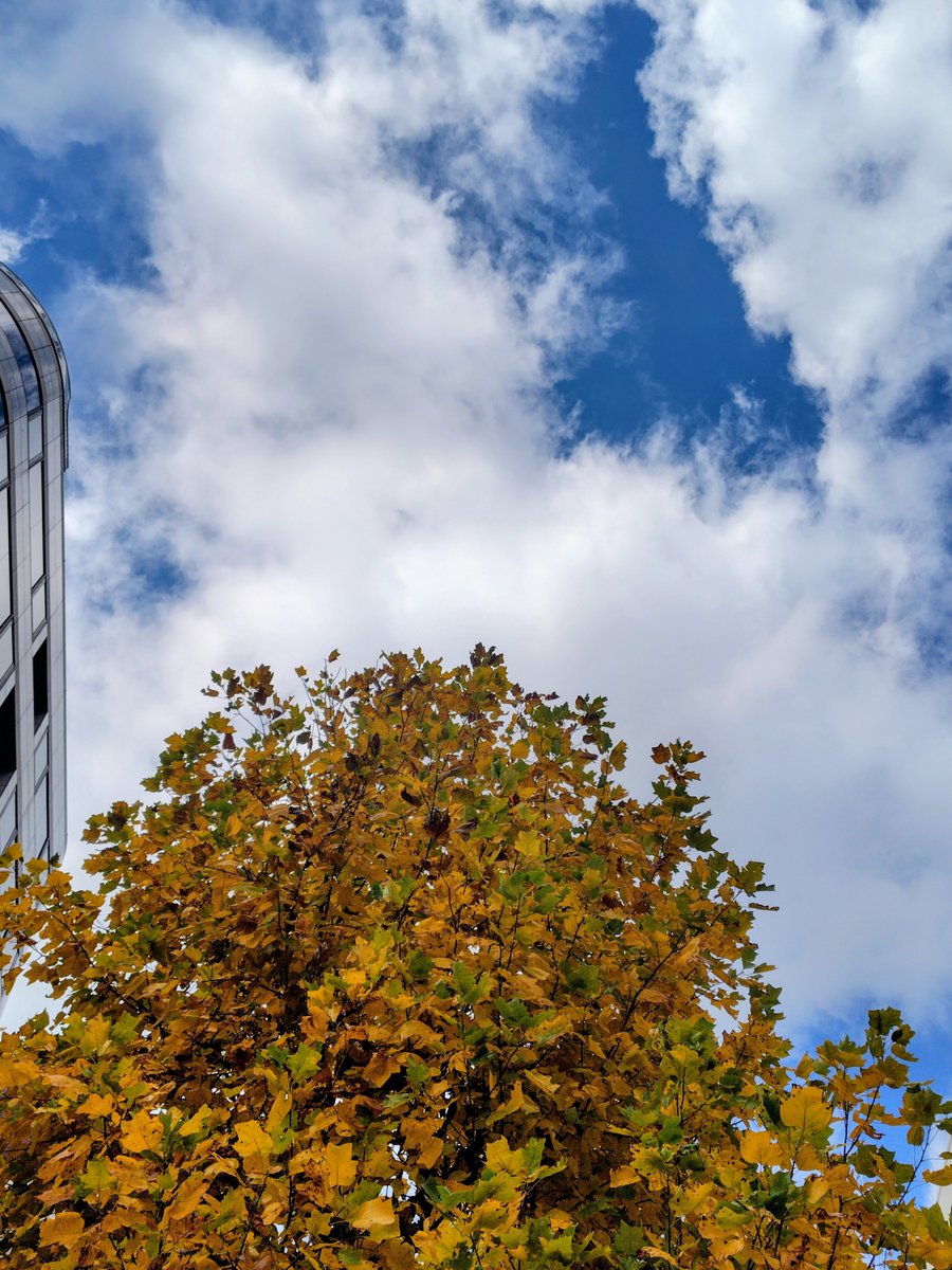 螢　あずさ姫　ミスヘブン2025 tweet media