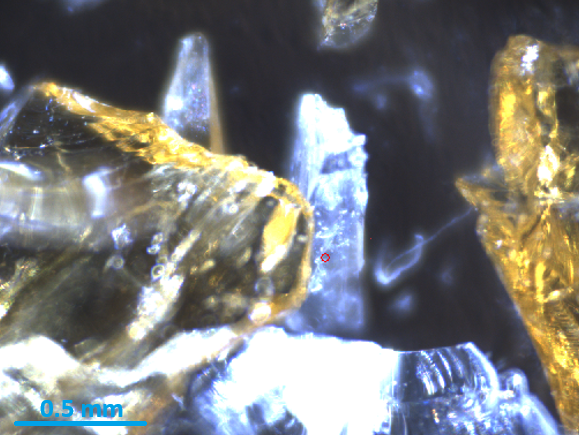 Discover how EDAX Orbis II is redefining forensic glass analysis and supporting critical criminal investigations with unmatched accuracy. ow.ly/ZWOF50XjGbw #Forensics #MicroXRF #EDAXOrbisII #GlassAnalysis