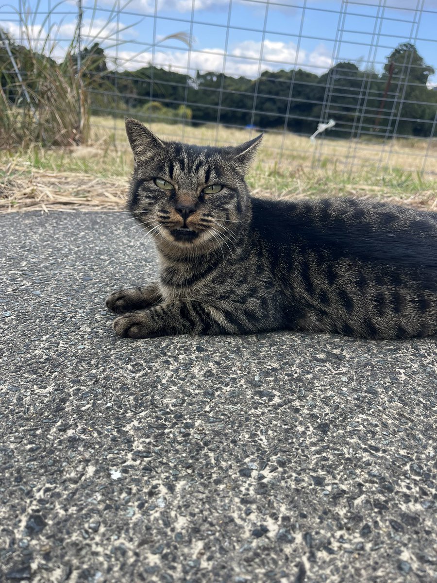 ひろにゃん様ご確認用ページ☆ 5edd096a4a58ef8d122b22cd209e90