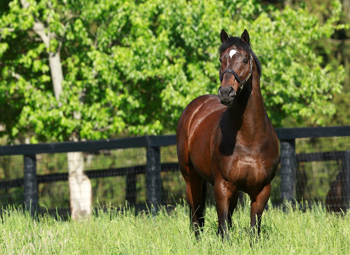 Aku cringe post dulu sebelum beliau