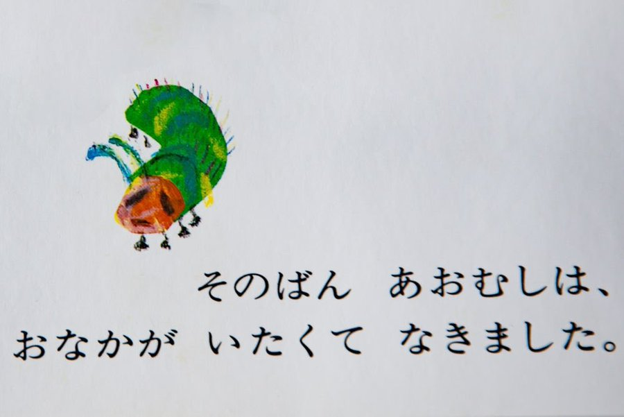 これ食べた後のワイ