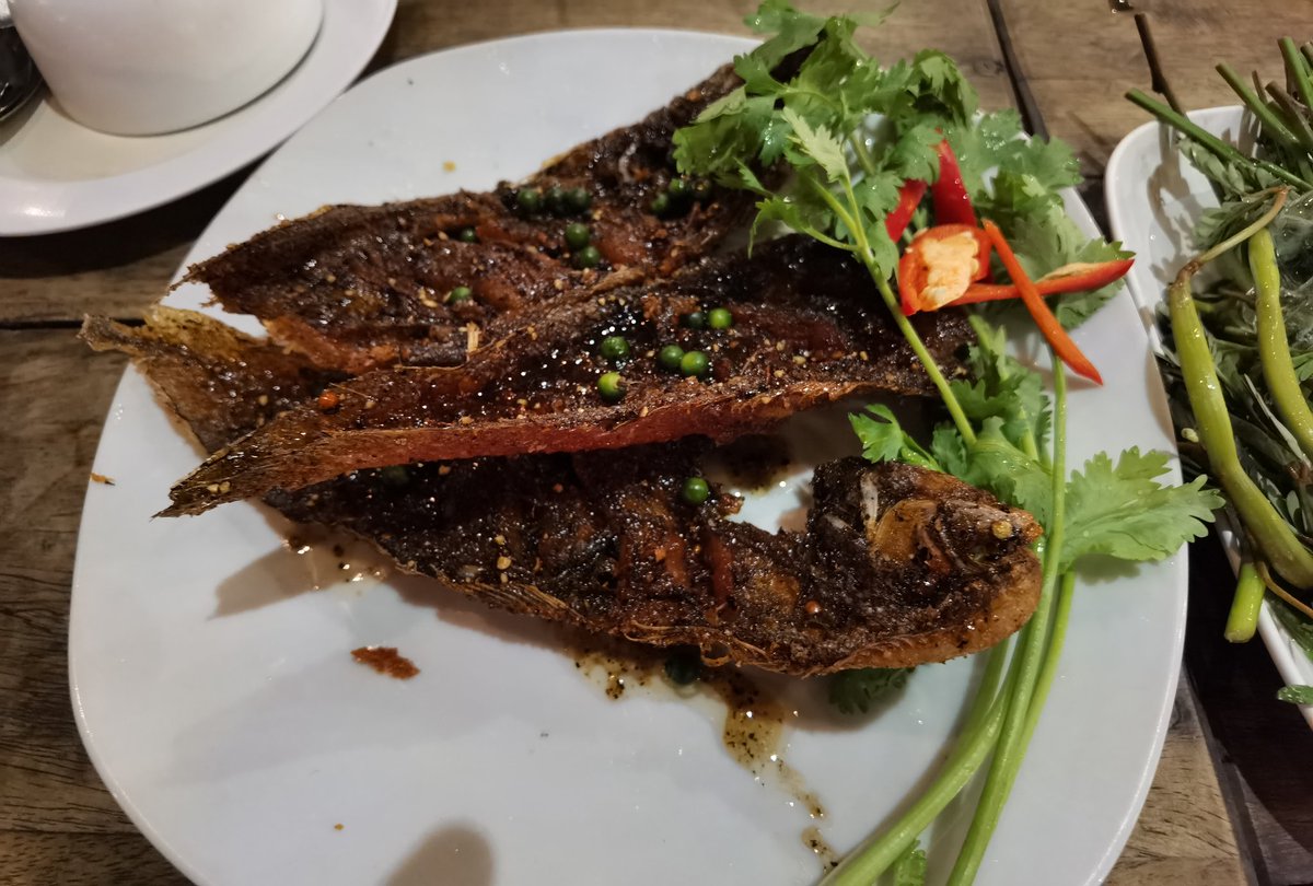 langsuancafe's tweet photo. "ปลาลิ้นหมาทอดกระเทียมพริกไทย" ปลาลิ้นหมาเข้าเ��อะเลยครับ

หน้าตาเมนูนี้เราอาจจะไม่เหมือนชาวบ้านแต่ลองมากินดูครับเราใช้พริกไทย 3 ชนิดพริกไทยดำพริกไทยขาวพริกไทยอ่อนทำเป็นซอสผัดกับปลาลิ้นหมาทอดกรอบ https://t.co/4tU5uMeCda