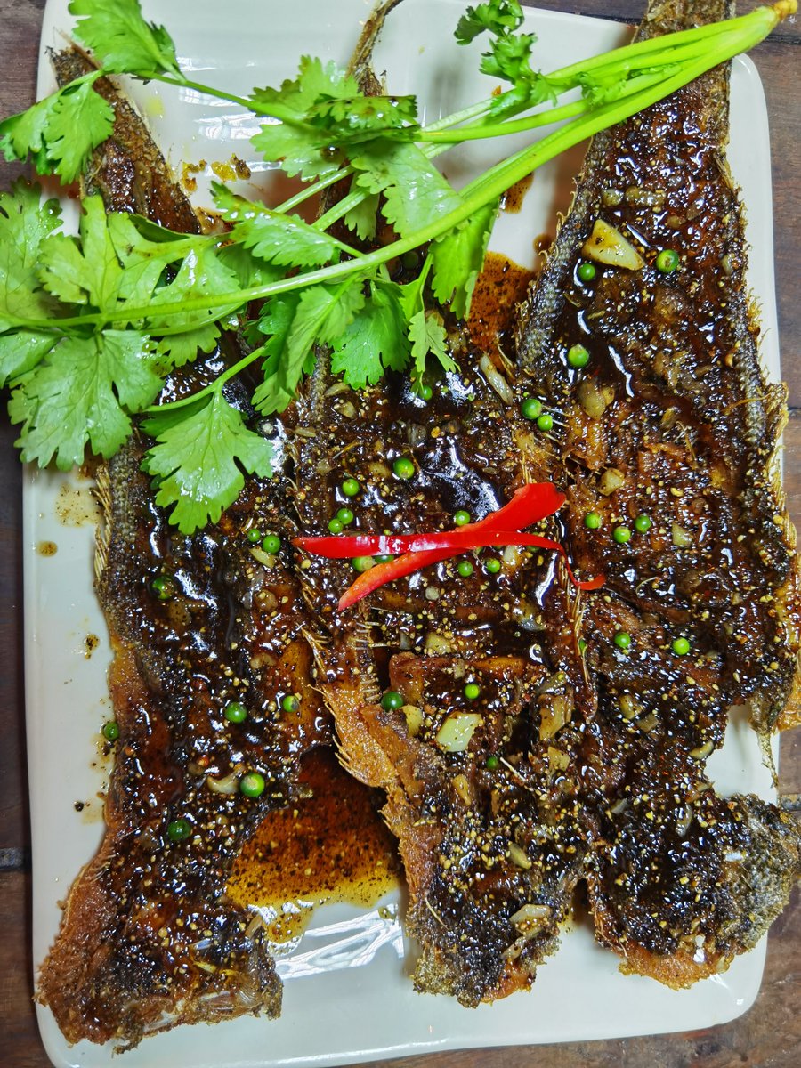 langsuancafe's tweet photo. "ปลาลิ้นหมาทอดกระเทียมพริกไทย" ปลาลิ้นหมาเข้าเ��อะเลยครับ

หน้าตาเมนูนี้เราอาจจะไม่เหมือนชาวบ้านแต่ลองมากินดูครับเราใช้พริกไทย 3 ชนิดพริกไทยดำพริกไทยขาวพริกไทยอ่อนทำเป็นซอสผัดกับปลาลิ้นหมาทอดกรอบ https://t.co/4tU5uMeCda