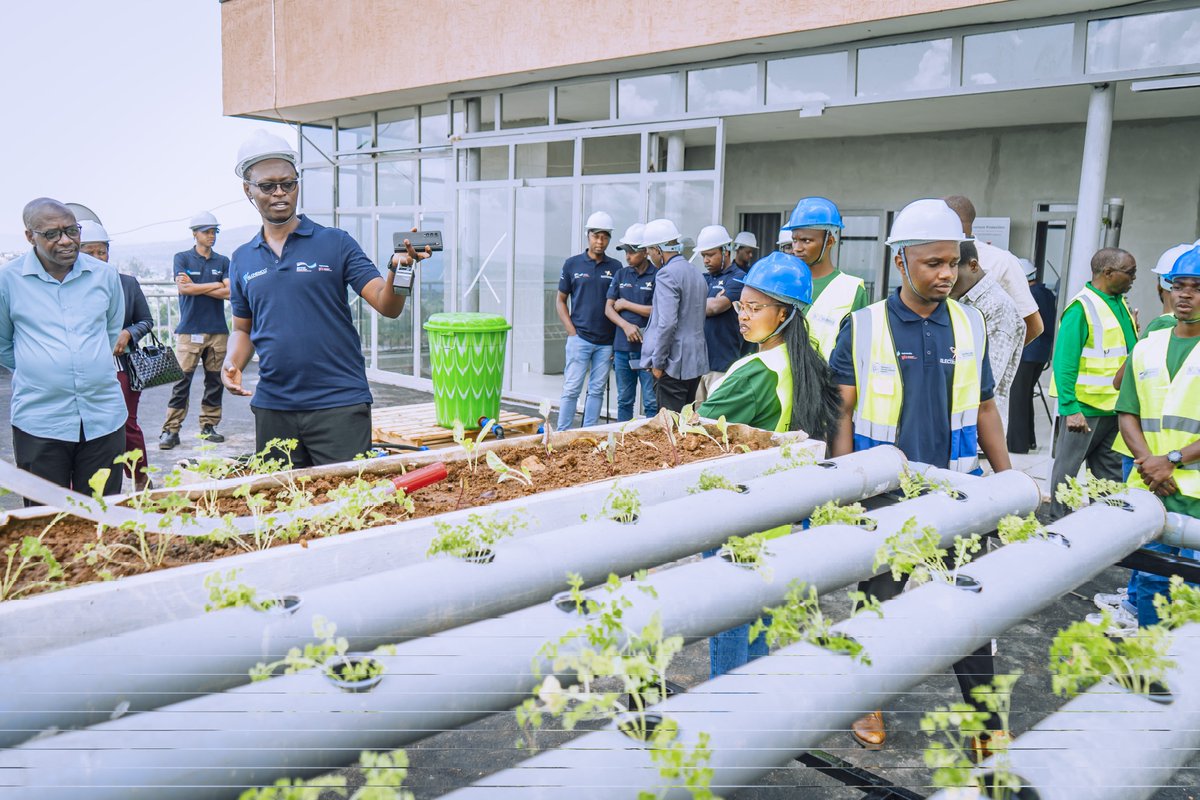 ZacharieNDAYIS5's tweet image. THE WAIT IS OVER🔄
 In  @LtdElectricom&apos;s project phase-out event happening now at HQs #Kicukiro_Gahanga, students who were trained in agricultural tech are presenting their innovative solutions and everything they&apos;ve learned. 🌾💡 
#AgTech #Sustainability #FutureFarmers