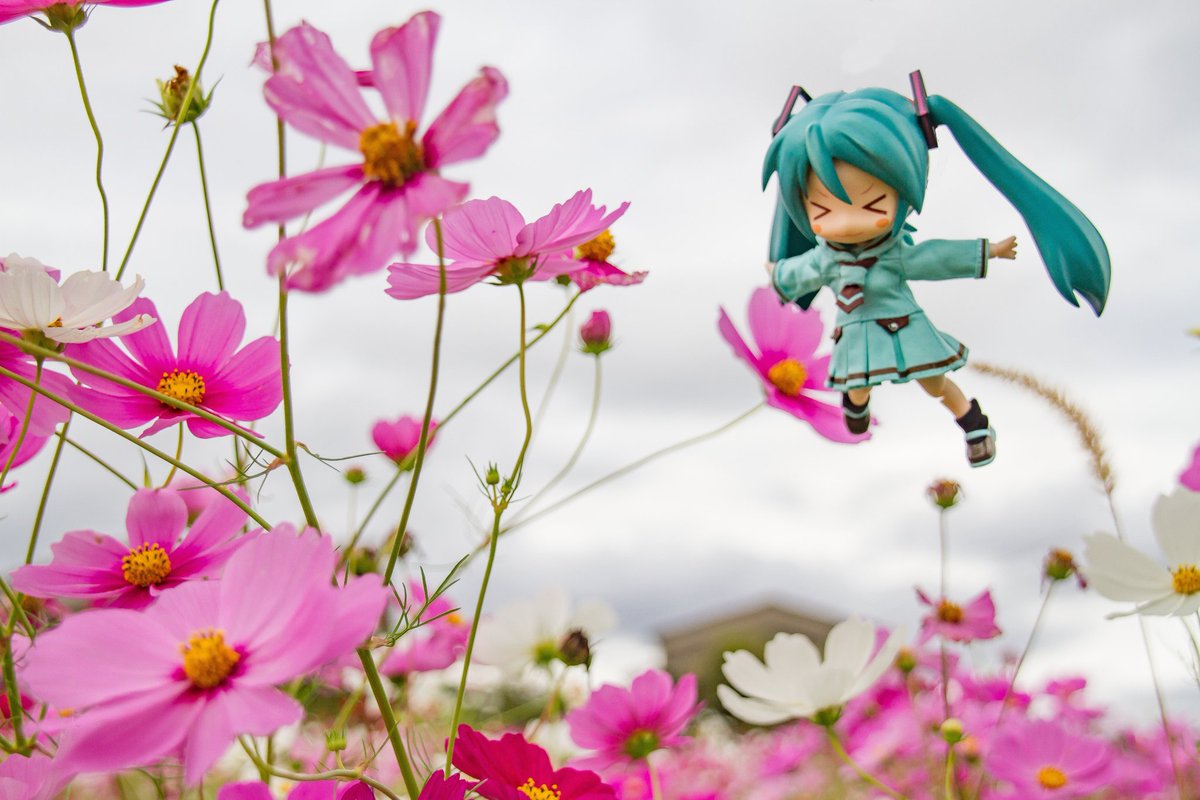 たま (@tama4089) / Posts / X