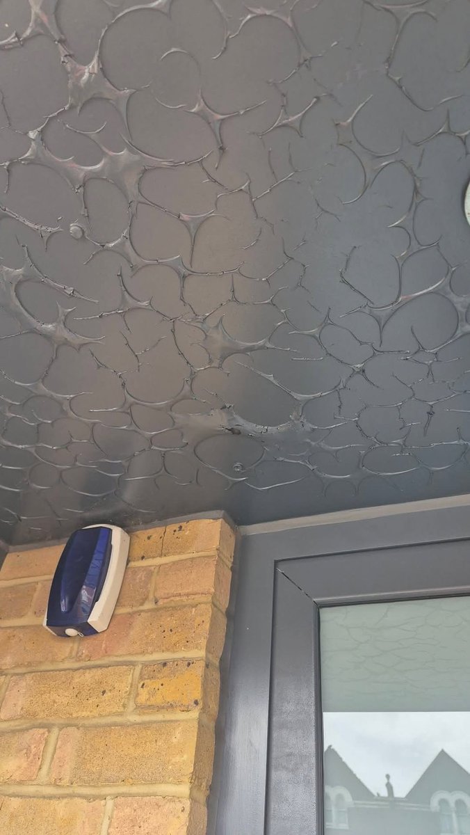 DecoratorsU's tweet image. It&apos;s going to be a long day...

#paint #ceiling #decorator