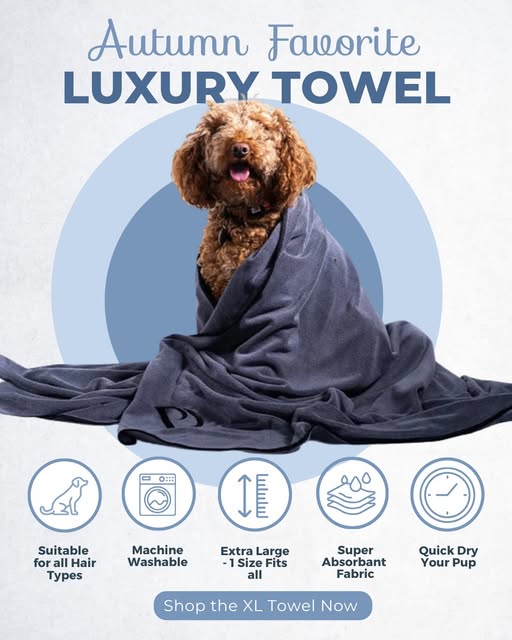 PawdawofLondon's tweet image. Muddy paw season is here, and our XL Dog Towel is ready!
🐾 Super absorbent microfibre
🐾 Hair shakes off, dries fast
🐾 Extra-large &amp;amp; cozy in slate grey
Say goodbye to mess and hello to clean autumn walks! 🍂
#MuddyPaws #DogTowel #DogParentsUK #PawdawOfLondon
