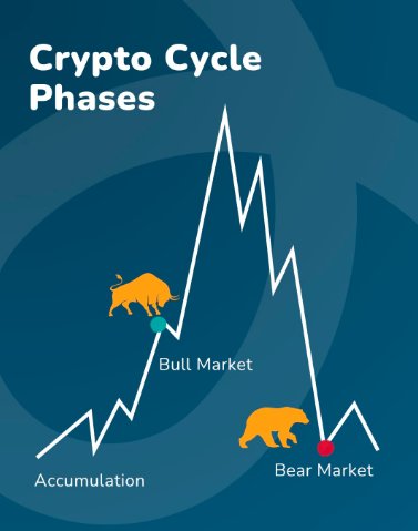 wiseadvicesumit's tweet image. And yes, this drop is temporary.

Every cycle has a stress phase where:
- Sentiment collapses
- Prices flush
- Weak hands exit

Strong hands accumulate, this is exactly that moment. 🙌