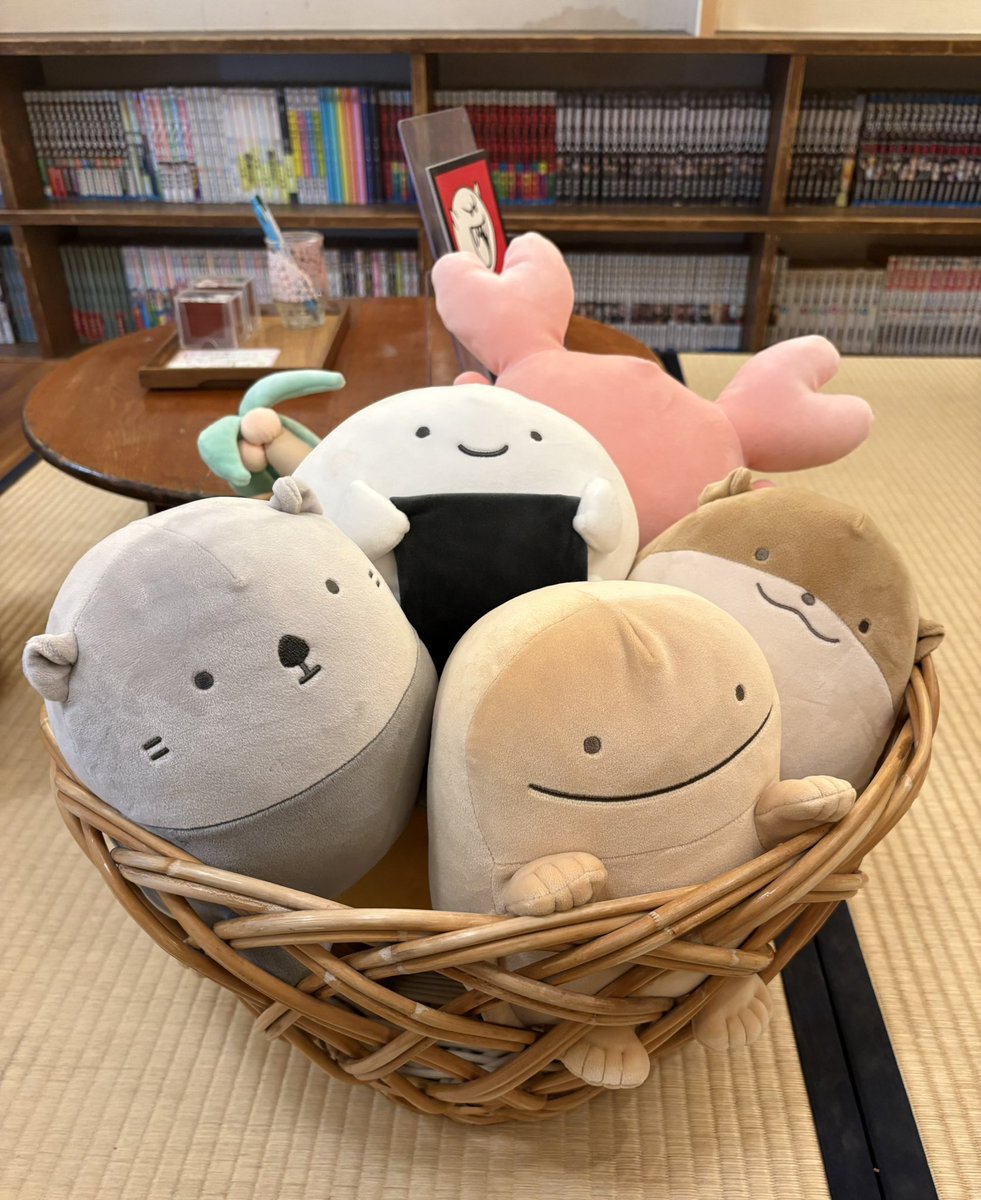 ぱぴこ (@pppppppapico) / Posts / X