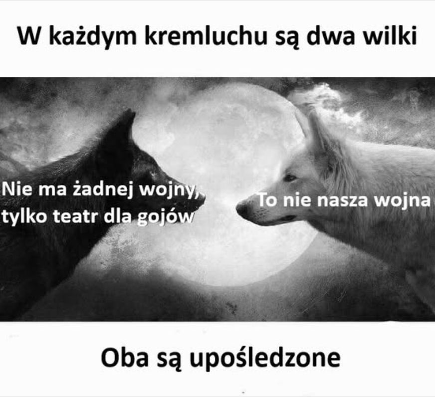 @_rafaello81