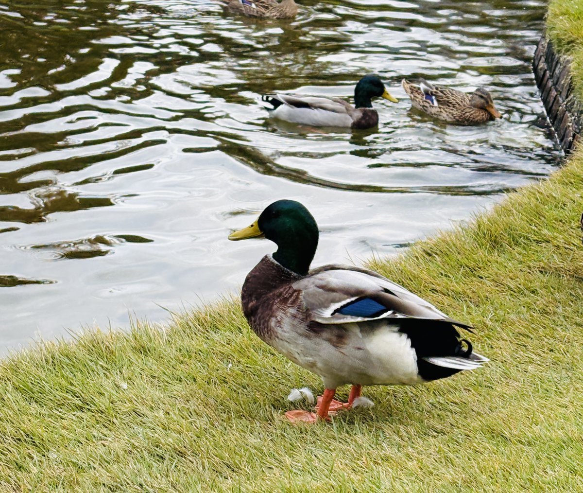 心はやわらかいときに、本音がいちばん見えやすい。

自分の願いを守ることも、立派なご自愛。
#ご自愛 #自己理解