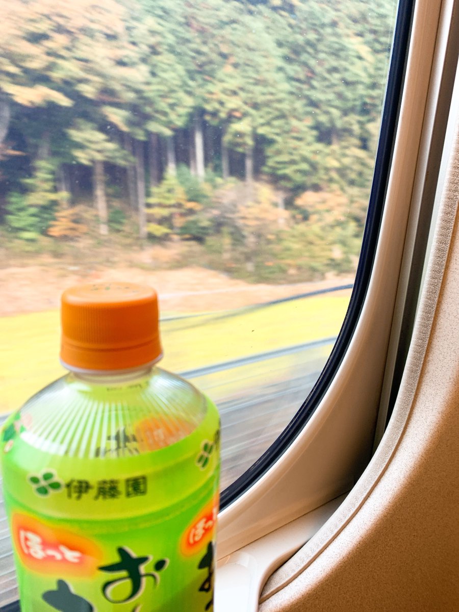 ひなたん🍓ぬかみそせんせい (@waishidayoo) / Posts / X