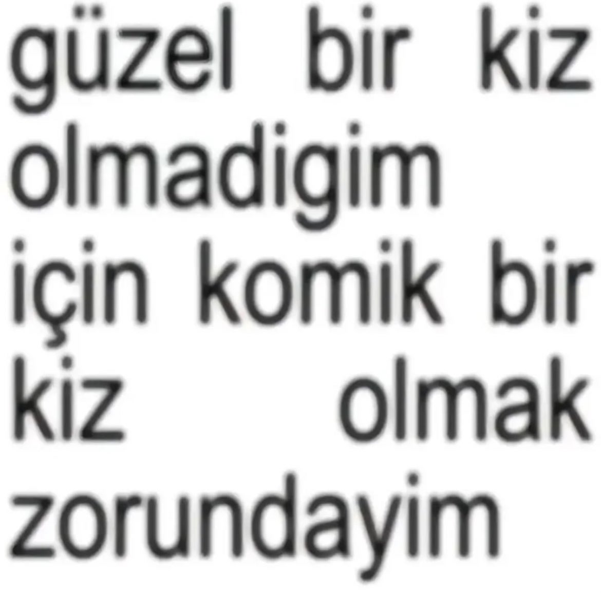 tirbisonsss's tweet image. 