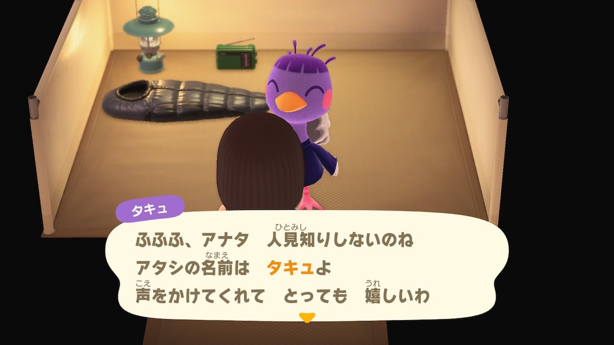 ｎ＠あつ森 tweet media