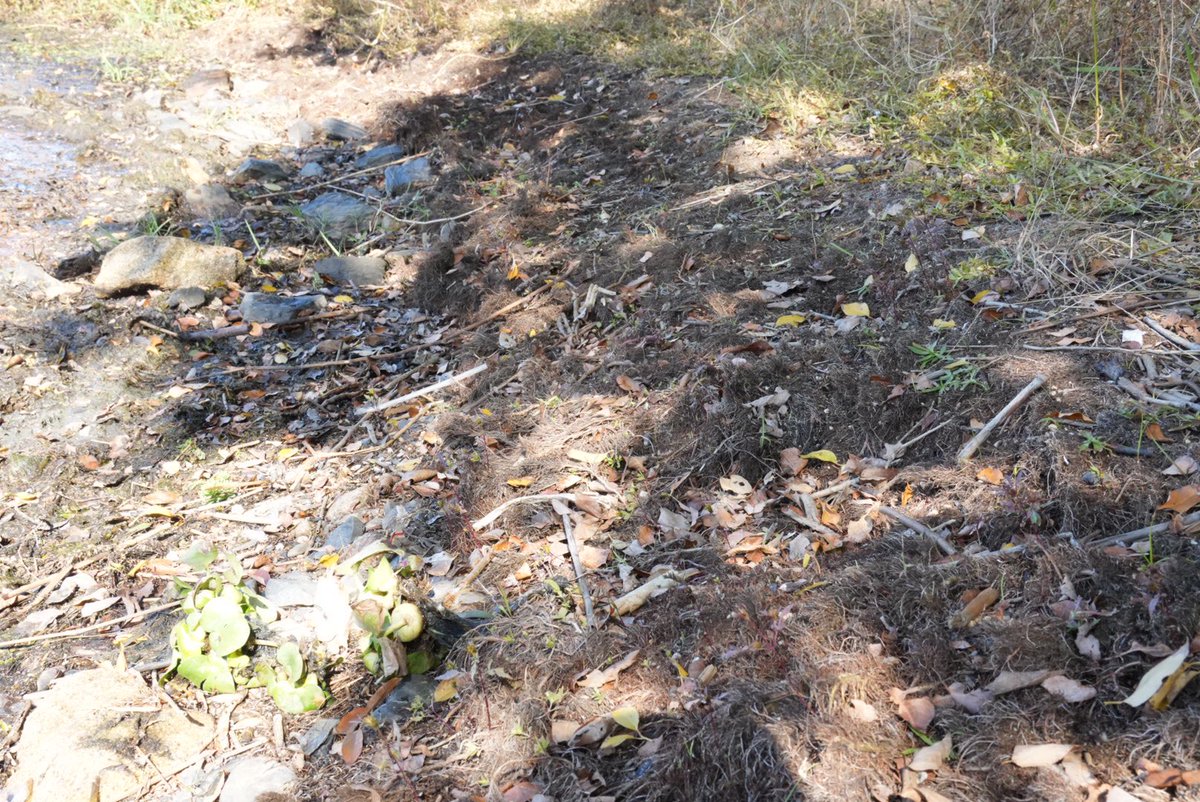 先日の琵琶湖での清掃活動について、改めてご参加・ご協力いただいた方々に御礼申し上げます🙇‍♂️

140名もの方に集まっていただけると、本当にごみは【0】に出来ます。やっぱり人数って大事。

今後とも引き続きご協力お願いします‼️

詳しい開催レポートはインスタにて
↓↓↓
instagram.com/p/DRHYw4ID1NI/…