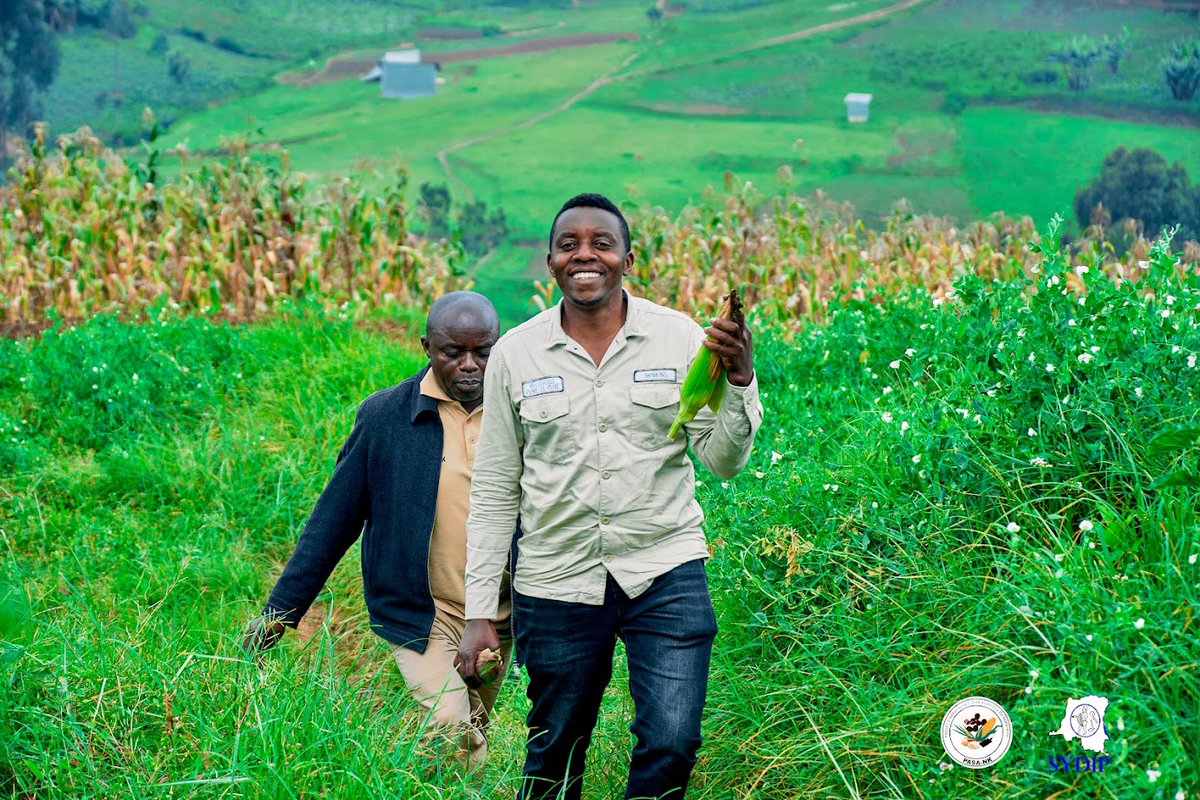 GeorgesKisando's tweet image. Luotu, tertitoire de Lubero, Nord-Kivu