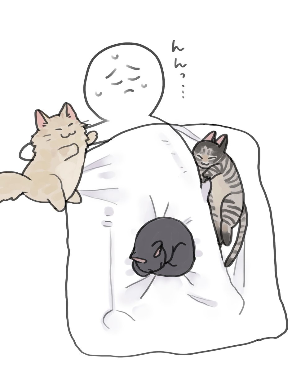 ぬくぬくの真空パックになる季節がやってきました。
皆さんのところはいかがですか？🐾

#猫のいる暮らし