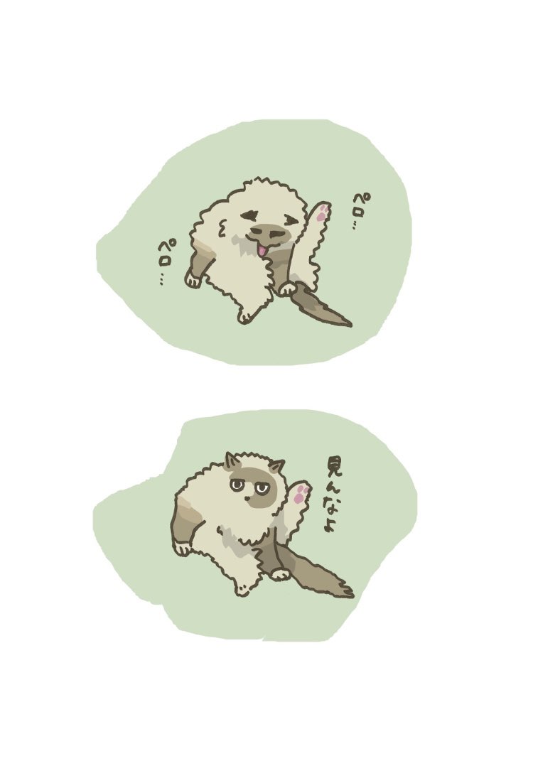 s44jll's tweet photo. ごめんね
#猫のいる暮らし 
#イラスト https://t.co/SkAK26qa7N