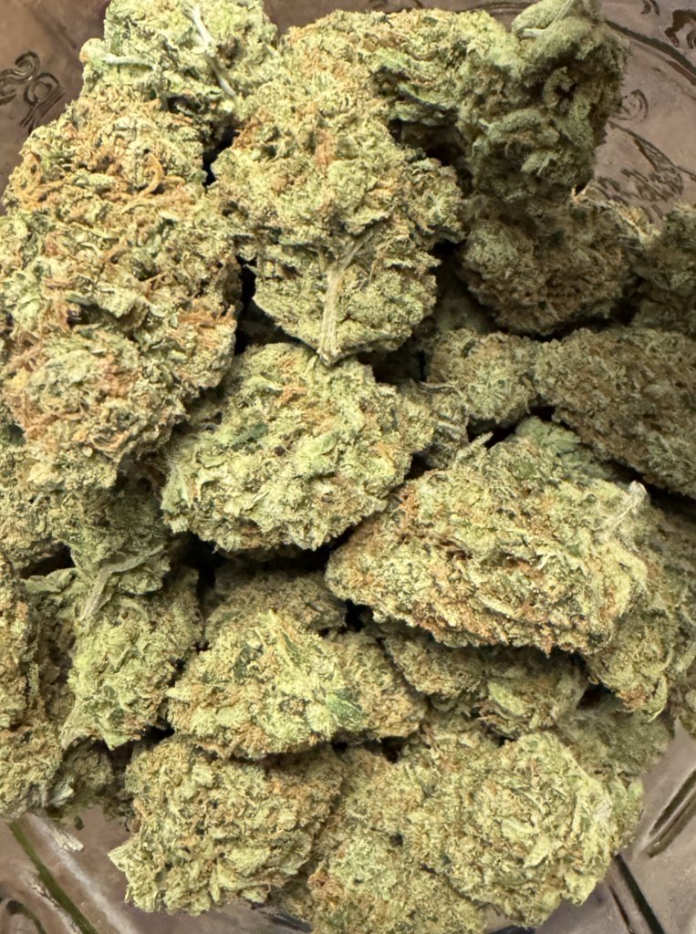 CologneMeSum's tweet photo. Throwback Strain: Super Silver Haze 
Craziest Gasoline-Pine-Citrus Terps
#drugtwt #gas #weed #stl #ExoticWeed #za https://t.co/zaXDTyqkgG