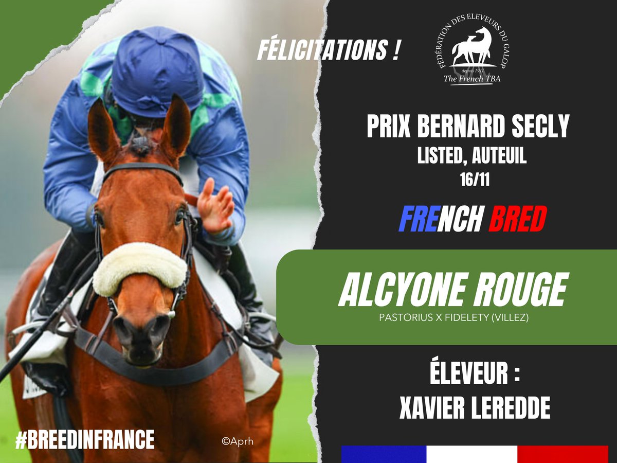 Eleveurs du galop tweet media