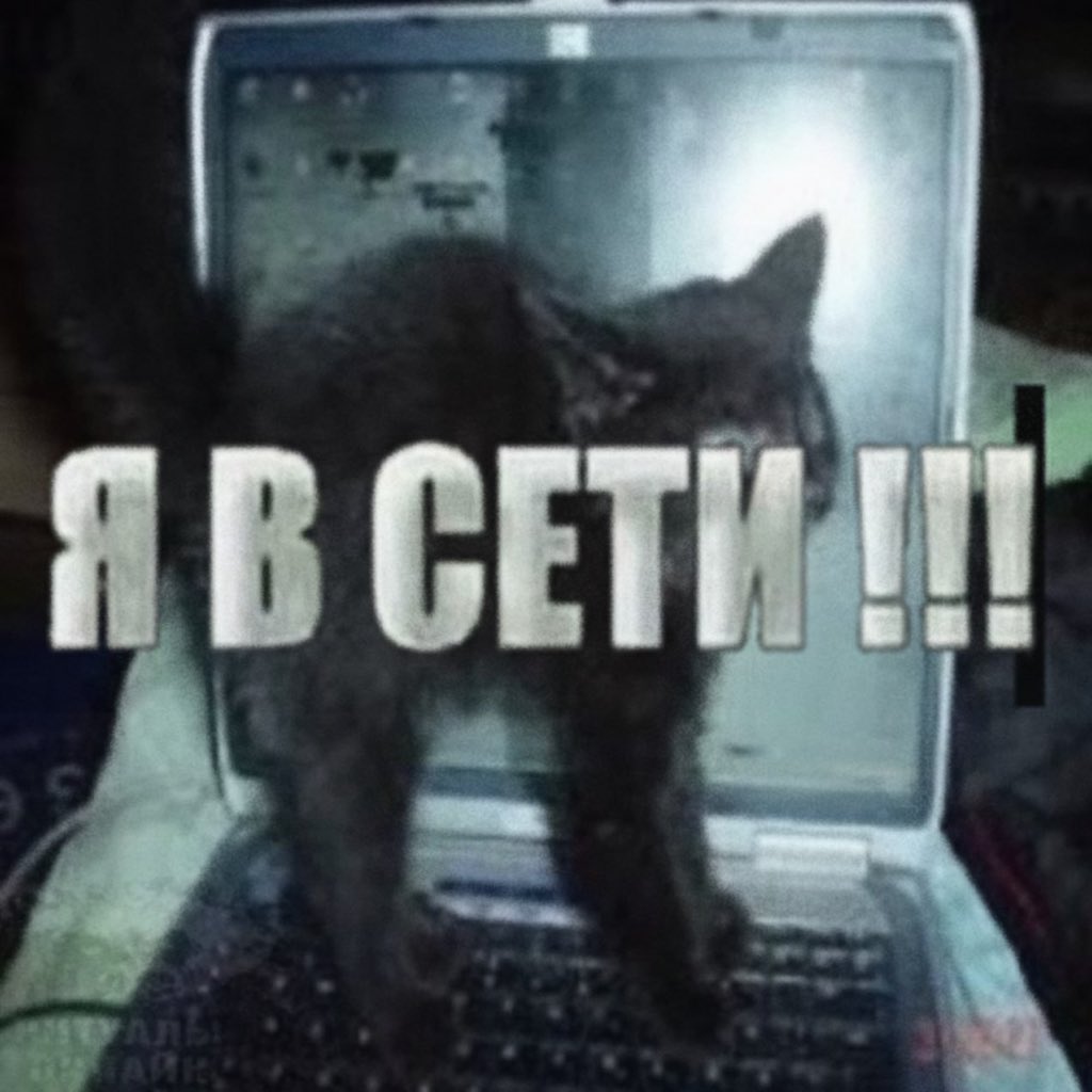 эта музыка будет вечной (@flogris_) on Twitter photo 