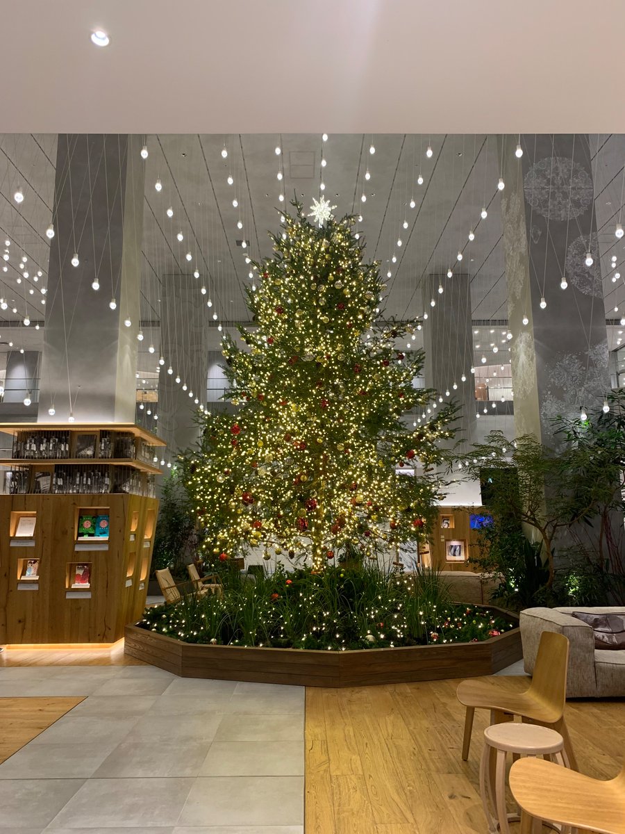 12patchpatch__'s tweet image. 最近🌲