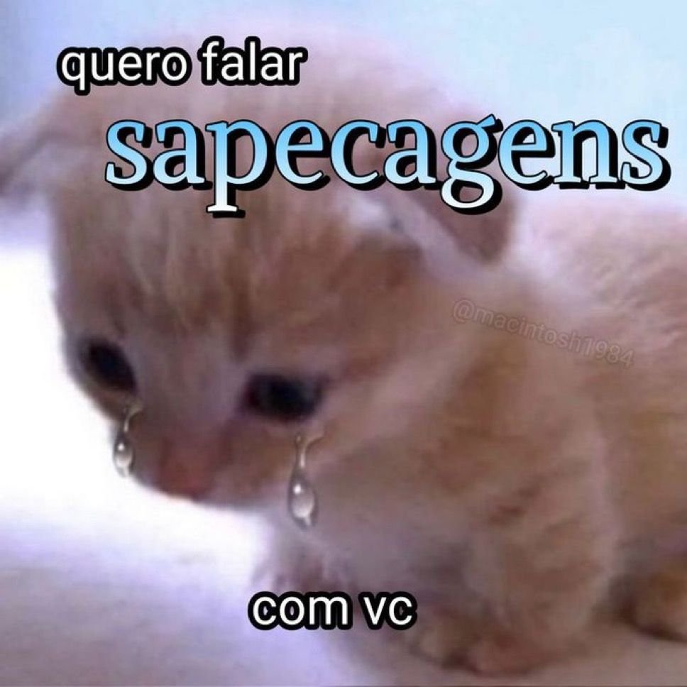 odeiootaco's tweet image. 