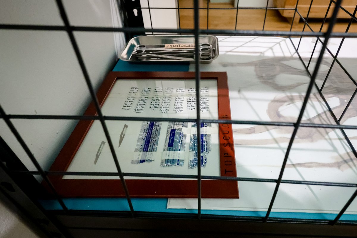 Queer Britain Museum tweet media