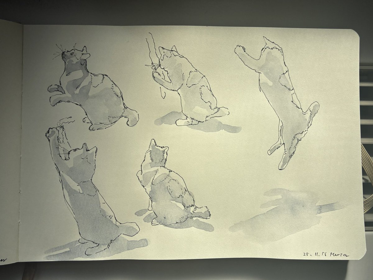 ねこスケッチ