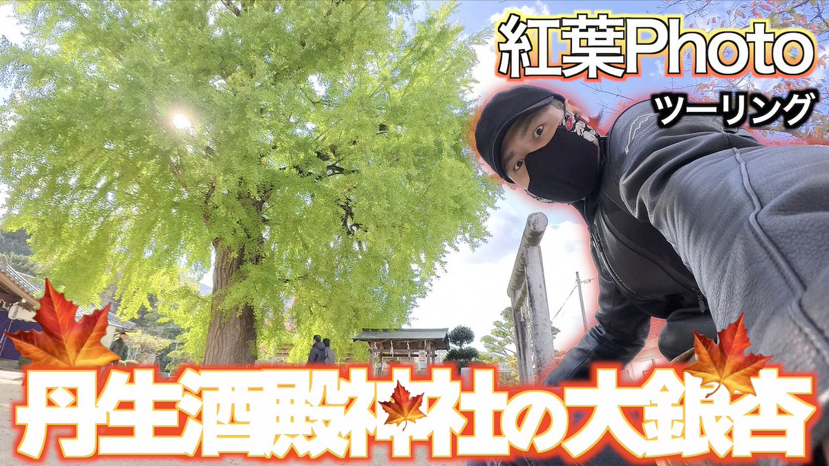 いっちゃん@ぱんとも (@iccho3r) / Posts / X