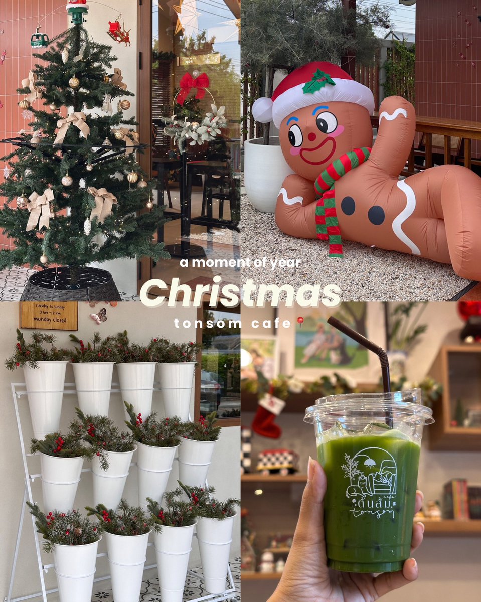 TinyThings ✿ tweet media