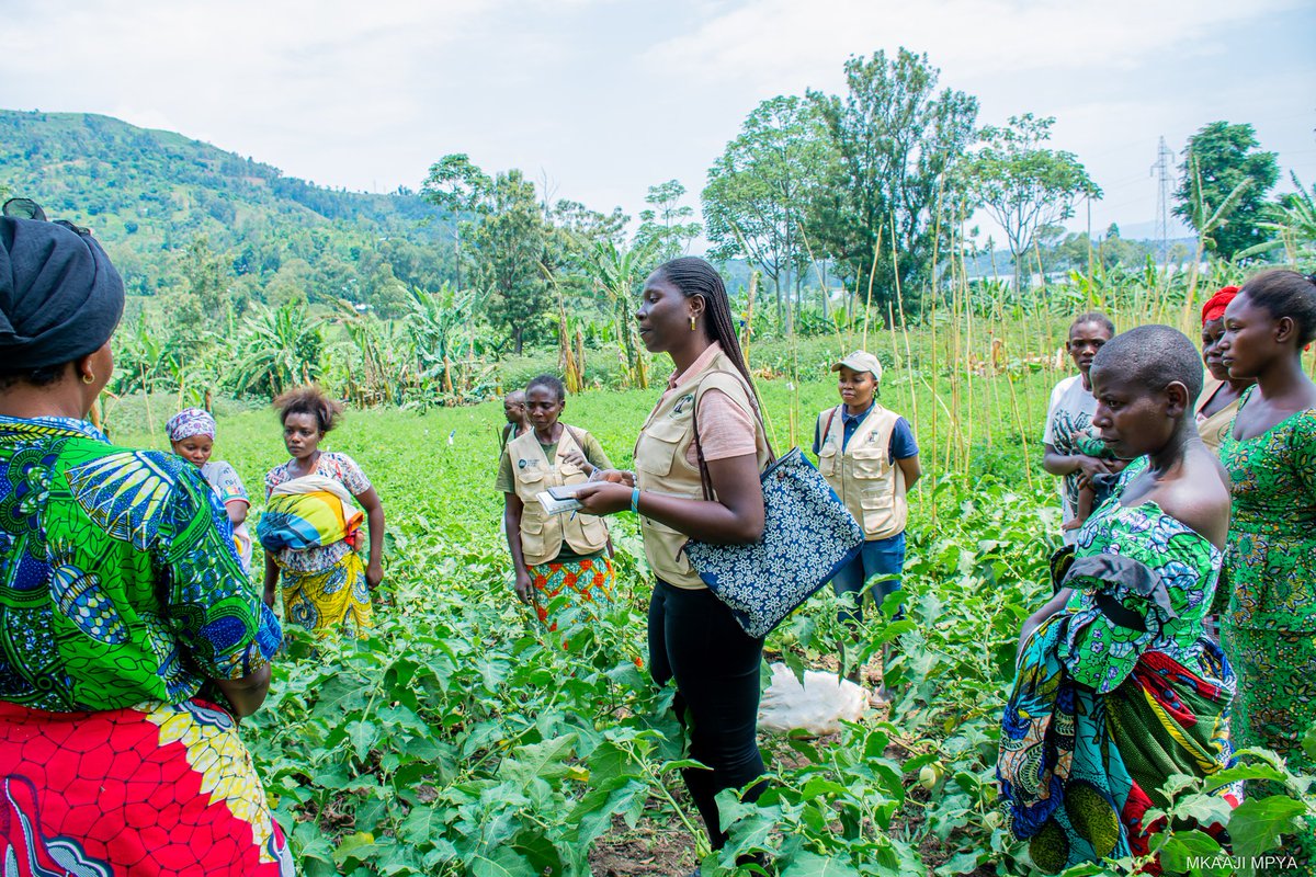 Dans l’est de la RDC, nos CLEFR soutiennent les femmes rurales en renforçant leur autonomie et leur résilience. 
Grâce aux CEP, les récentes récoltes améliorent leurs revenus, sécurité alimentaire, et prévention des violences, favorisant une autonomie dans leurs communautés.