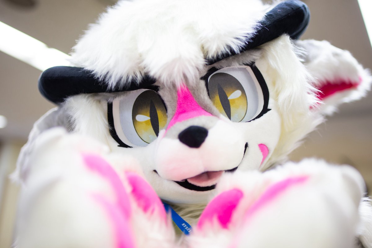 寒いならぼくがあたためてあげる🐾🧣
📸：Boyさん