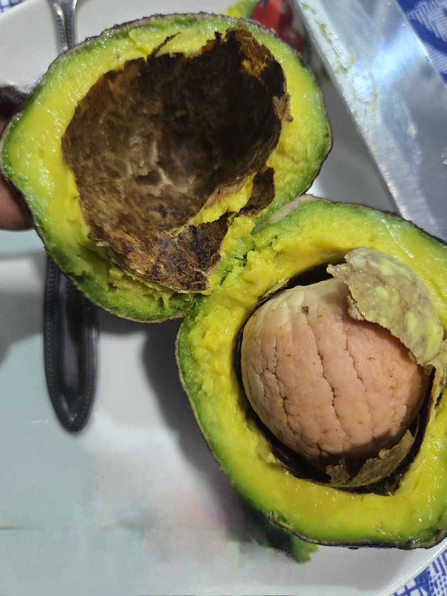_Eloho_'s tweet photo. Green + Yellow + Brown 
Nature knows what it's doing 😍 https://t.co/IwmxpQeYu4