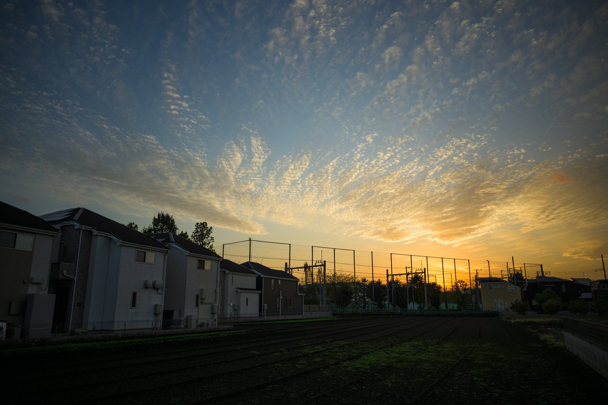 夕焼け 散歩 Nikon Zf / Z 26mm f2.8 #私とニコンで見た世界