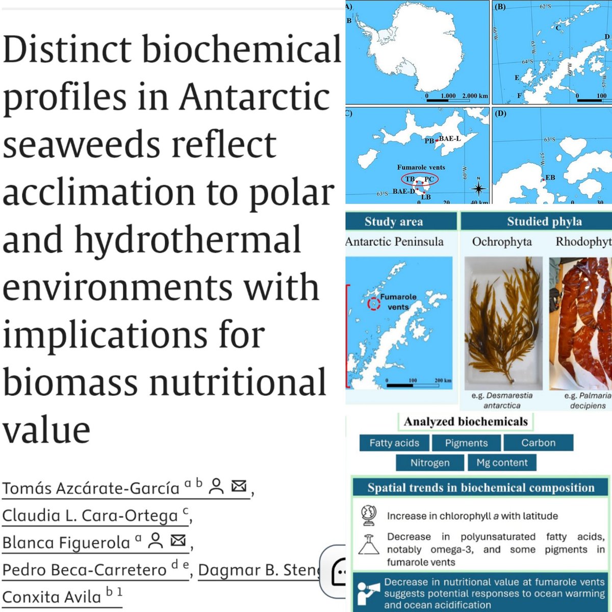 Marine calcifiers tweet media