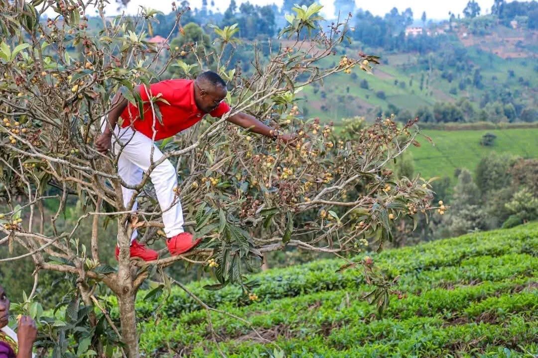 <a href="/HERachelTabitha/">H.E. Rachel Tabitha,MYP</a> <a href="/Oburu_Odinga/">Oburu Odinga</a> Raila should have stood with Kenyans post June 25th.
Ruto is now harvesting from ODM and is about to cut the tree for firewood.