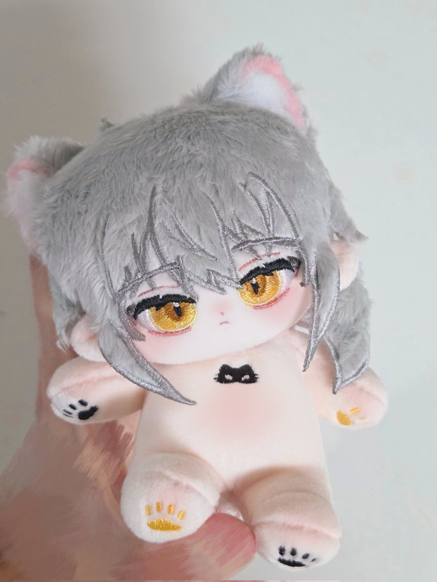 솜꼬🎀 tweet media