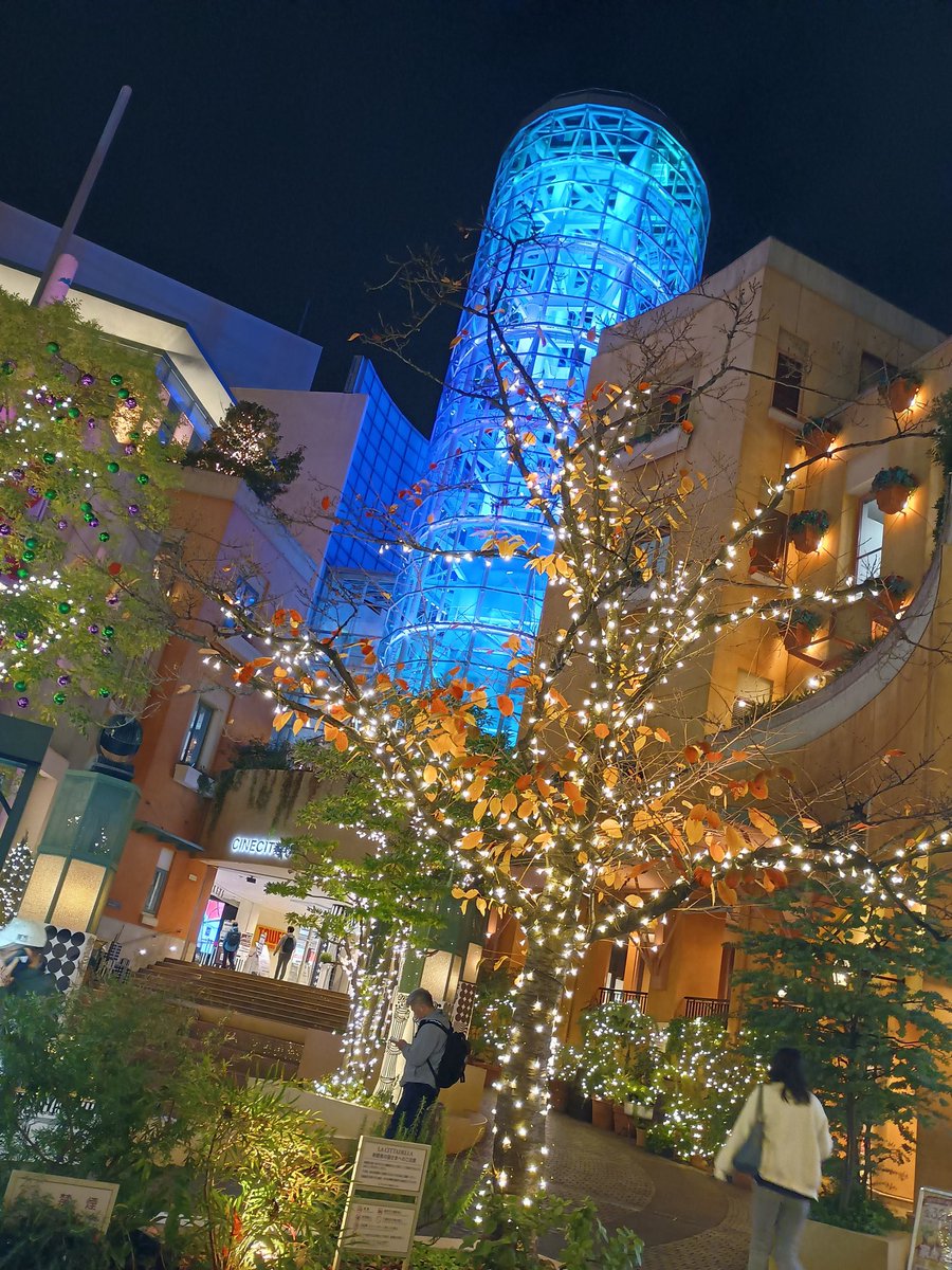 守れなかった約束とか
頑張ってもできなかったこととか
生きてきた中でたくさん
積み重ねてきた後悔を
赦されないと
『生』を終えることは
できないのかもしれない
脳内が低酸素状態になると
エンドルフィンが分泌されるのは
『赦し』を与えてもらうための
走馬灯を見せるためなのかも…
.