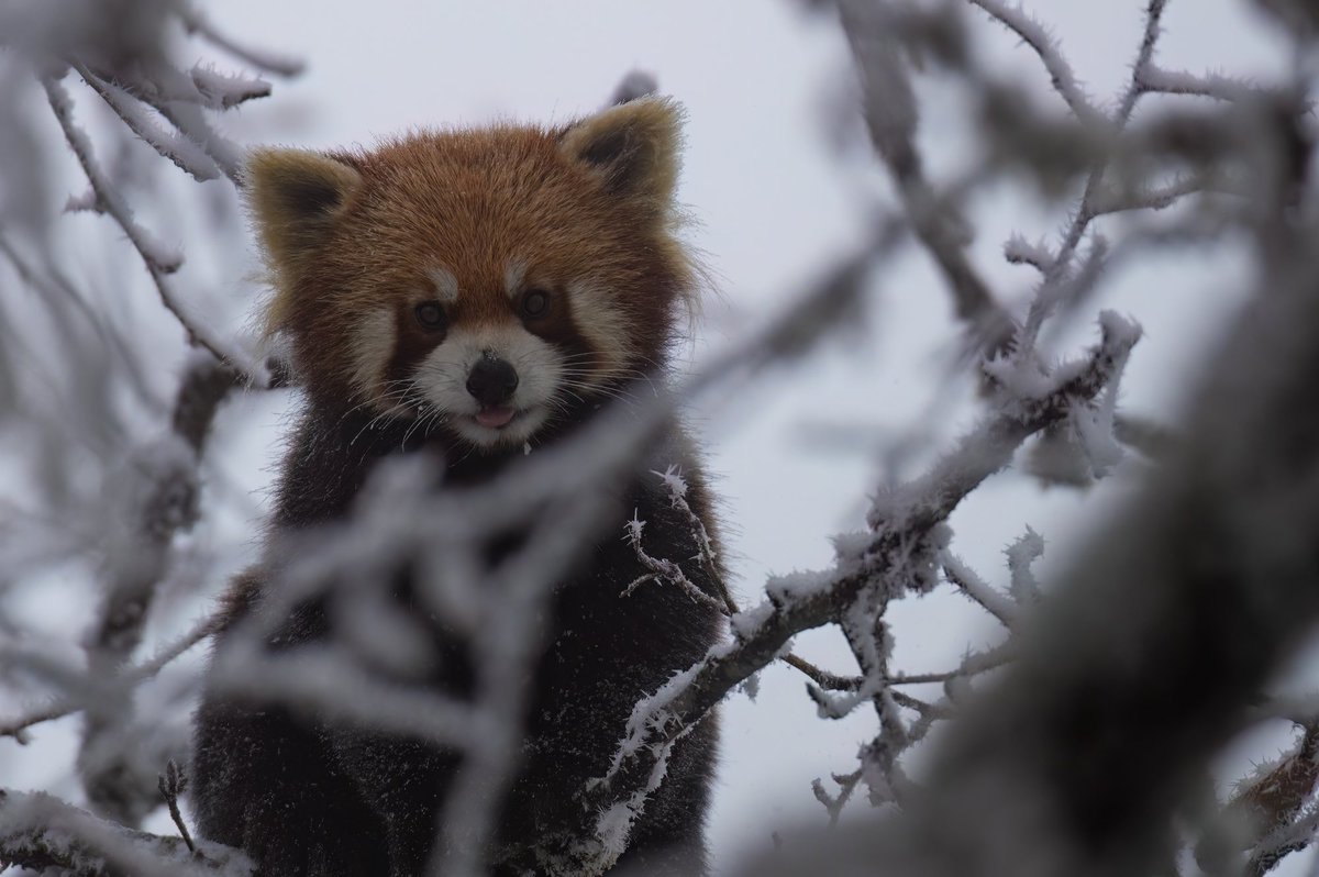 Chris Griffin tweet media