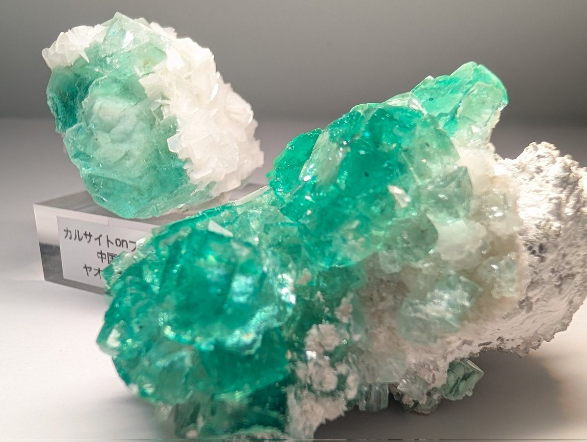 最近自覚したことだが、白い母岩の石が好きなんだ……!
見て、この色映え……!!
いわゆるfineな石は所持していないけれど、好み全開で収集中!!