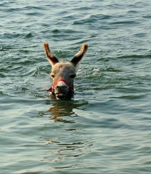 <a href="/RajeevKrSharma9/">RajeevKrSharma</a> <a href="/Harisha11600034/">🌷 मंगल पाण्डेय 🌷</a> <a href="/y_tanawala/">HINDU TANAWALA YOGESH</a> <a href="/Bittu2590/">🚩HINDU BITTU SHARMA🚩</a> <a href="/GoelToshi/">Toshi Goel</a> <a href="/TanawalaY/">tanawala yogesh</a> <a href="/SureshG37675707/">🚩S.K. Goyal( मोदी का परिवार)</a> <a href="/budbukbum/">NotAbot</a> <a href="/AdityaJanmejay/">🚩हिंदू आदित्य जन्मेजय🚩</a> <a href="/PoonamSoni53582/">Poonam Soni</a> <a href="/SushilaMehta123/">Sushila Mehta</a> <a href="/AkhileshSri54/">AkhileshSrivastava54</a> <a href="/SureshA74732559/">🚩SKGoyal (मोदीजी का परिवार)</a> <a href="/KING863059/">💥 दिल्ली वाले के दूर के चिचा(मोदी जी का परिवार)💥</a> <a href="/vibhasr21564907/">Akhilesh Sri7</a> <a href="/Ravigayawala/">Shri Ravi Shankar</a> <a href="/Rabindr04447047/">Rabeendra Singh</a> <a href="/ShriPrakashAw14/">श्रीप्रकाश अवस्थी🇮🇳</a> <a href="/nkvermaji201/">Nk Verma</a> <a href="/cdsmumbai2022/">Chakradhar Sarangi</a> <a href="/Dhanesh52299862/">Dhanesh Singh</a> <a href="/MPandey13178/">Maneesh Pandey</a> <a href="/priyanka2bharti/">Priyanka Bharti</a> <a href="/AmitLeliSlayer/">Boiled Anda</a> <a href="/bhil_mahavir/">mahavir p.bhil ( first nation & religion)</a> <a href="/Hyper1008/">Hyper</a> <a href="/narpat_rat18280/">ठाकुर साहब</a> <a href="/AmarNat87959563/">🇮🇳अमर भारती 🇮🇳</a> <a href="/Rohit57911/">Rohit Sharma</a> <a href="/OfficeRajeev/">Office Rajeev Kumar</a> <a href="/alok_ajay/">Dr Ajay Alok</a> <a href="/charchapolitics/">चौपाल</a> <a href="/rpdular1/">राजपाल दूलर Rajpal Dular</a> <a href="/ChelatSivadas/">Enjoy Life</a> <a href="/TejashwiYdvRJD/">Tejashwi Yadav</a> <a href="/parv09_bharat/">भारत भाग्यविधाता 🇮🇳🇮🇳</a> <a href="/angryladki/">ANGRY BIRD 💎 (Modi का परिवार)</a> <a href="/Kanchanyadav000/">Kanchana Yadav</a> <a href="/laluprasadrjd/">Lalu Prasad Yadav</a> <a href="/RabriDeviRJD/">Rabri Devi</a> <a href="/manojkjhadu/">Manoj Kumar Jha</a> <a href="/vini7_21/">vini</a> <a href="/Vinita_Bothra7/">विनीता जैन</a> <a href="/ShilpiSinghINC/">SHILPI PARIHAR</a> <a href="/dinesh_chauhan/">Dinesh Chauhan</a> <a href="/INCIndia/">Congress</a> <a href="/ActivistSandeep/">Sandeep Singh</a> <a href="/Aloksharmaaicc/">Alok Sharma</a> <a href="/BoltaHindustan/">Bolta Hindustan</a> <a href="/FanPriyankaGV/">With Priyanka Gandhi</a> राहुल वाला नही