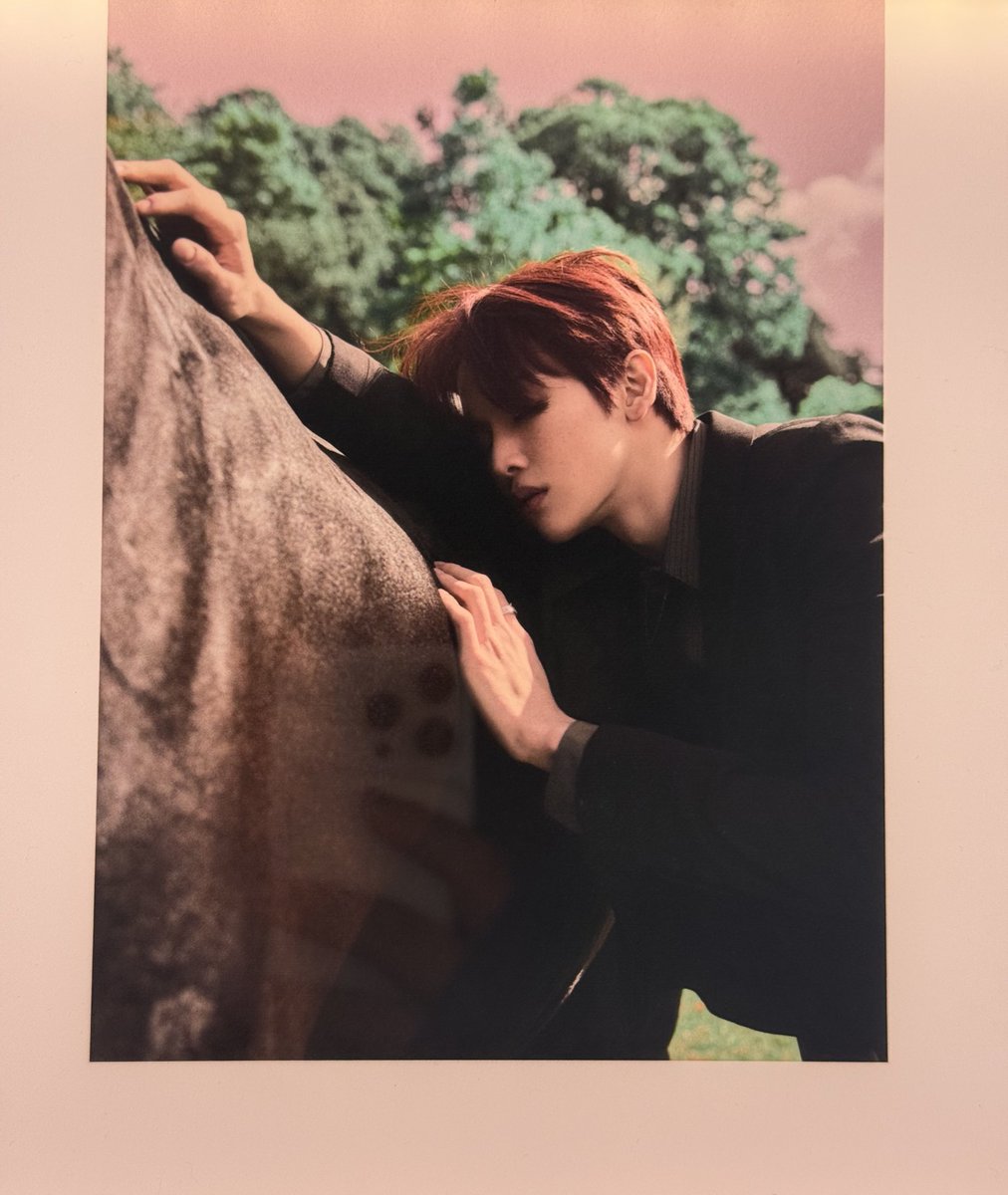 전시사진 너~ 무 좋았던거 이거 4개요