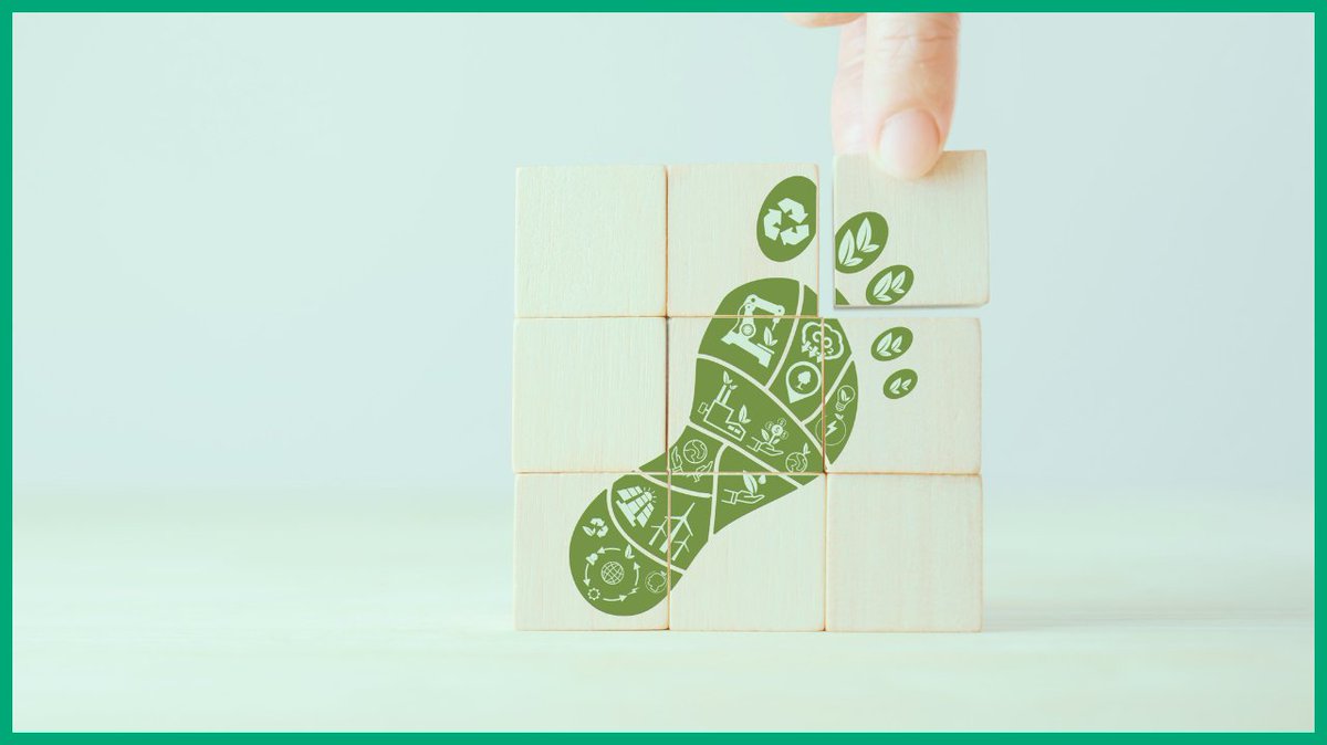Greenredeem tweet media
