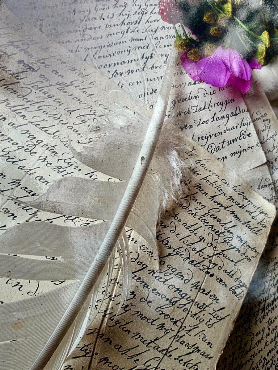 LisetteOpTexel's tweet photo. Favoriete 🪶 veer is toch wel m’n kroontjespen,
of m’n hele zwanenveer in de inkt dopen
om te kalligraferen!
#hobby #inkt #kaligraaf #kaligraferen #schrijven #inktpen #sierschrift #november_kiek @CCommijs #veren #kroontjespen #oudhollands #pen #sierlijk #perkament #pennen https://t.co/DQpDe4BO51