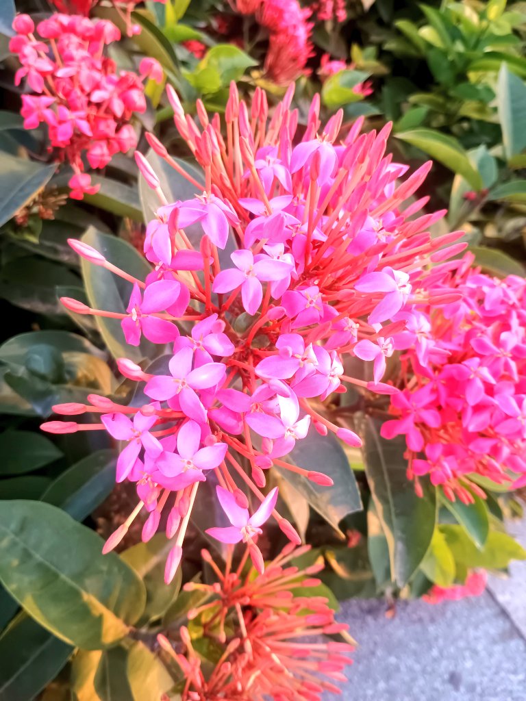 Garima1907's tweet image. Saw it..
Liked it..
So clicked it..!!